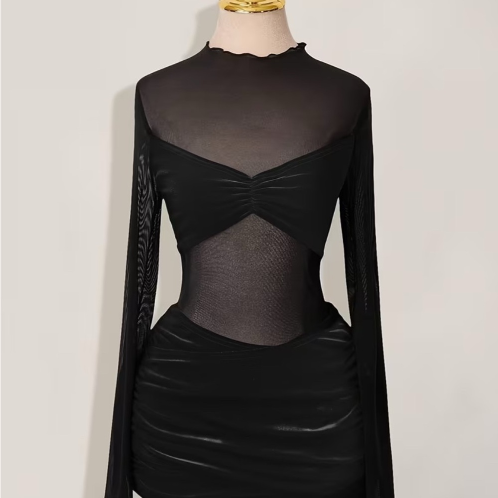 Elegant Black Sheer Dress